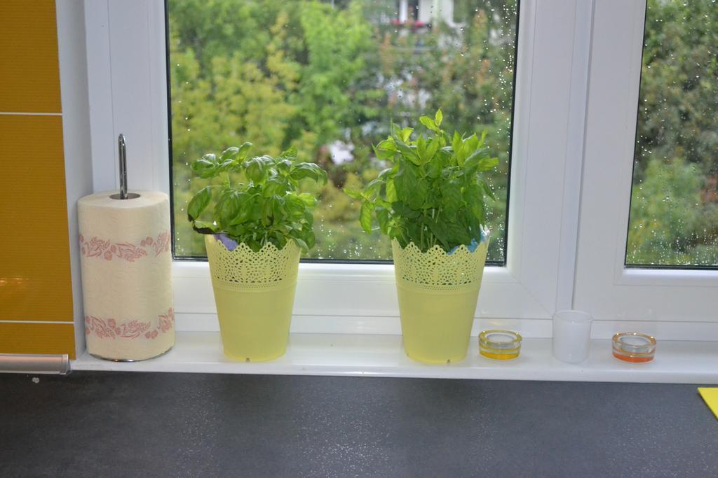 Jtb Apartament Chopina Leilighet Szczecin Rom bilde